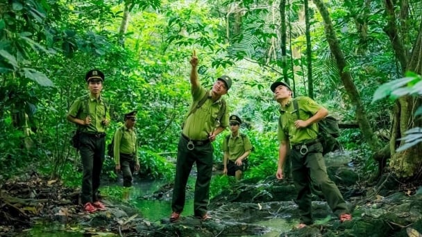 Protecting forests, building a green future: From exploitation to conservation